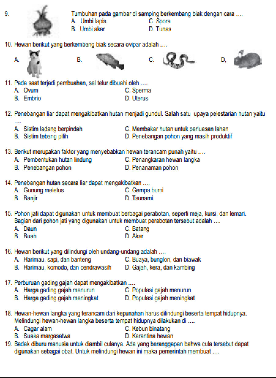 7 Contoh Soal IPA Kelas 6 SD Semester 1 yang Wajib Dikuasai di Tahun 2026 Sebelum Ujian 7 Contoh Soal IPA Kelas 6 SD Semester 1 yang Wajib Dikuasai di Tahun 2026 Sebelum Ujian