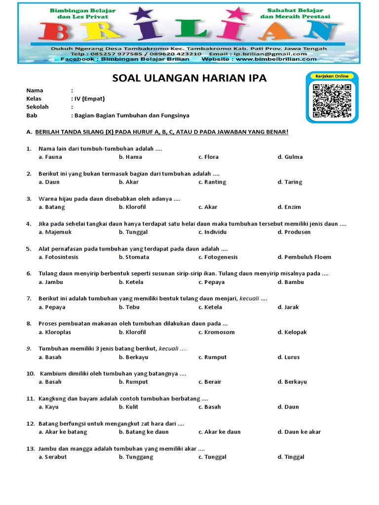 Petualangan Mengenal Bagian-Bagian Tumbuhan Fondasi Kehidupan di Kelas Petualangan Mengenal Bagian-Bagian Tumbuhan Fondasi Kehidupan di Kelas