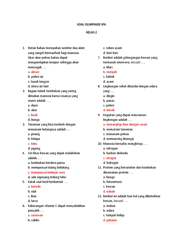 Rahasia Belajar Efektif dengan Latihan Soal Sains Kelas 2 SD Agar Anak Lebih Cepat Paham Rahasia Belajar Efektif dengan Latihan Soal Sains Kelas 2 SD Agar Anak Lebih Cepat Paham