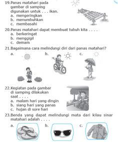 Rahasia Skor Tinggi Anak dengan Latihan Soal Sains Kelas 2 Terbaru yang Wajib Dicoba